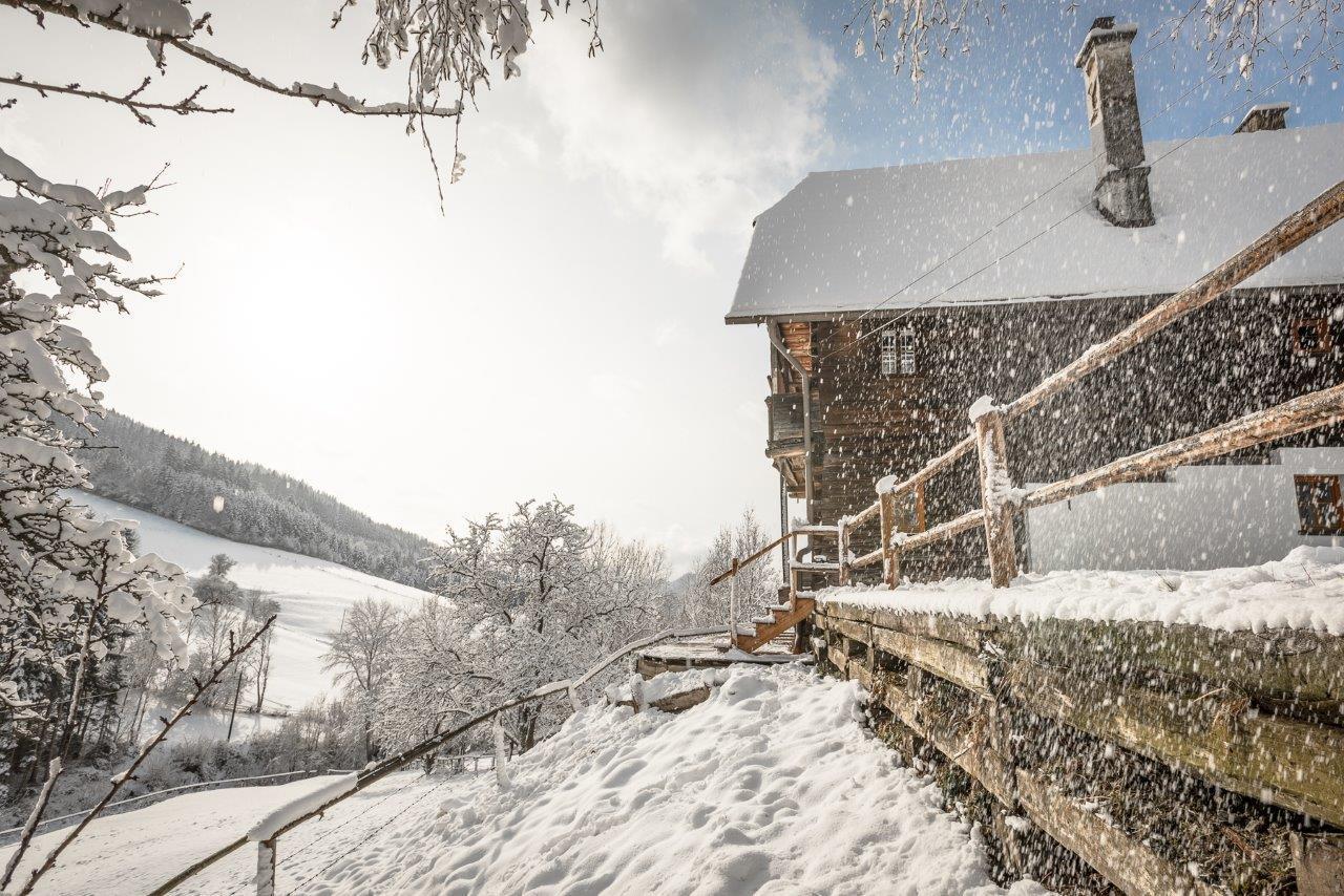 PreggrabenUrlaub Auf Der Alm "Deluxe"别墅 外观 照片