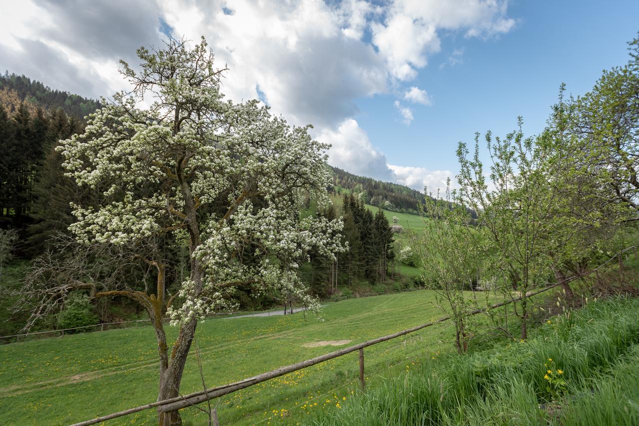 PreggrabenUrlaub Auf Der Alm "Deluxe"别墅 外观 照片